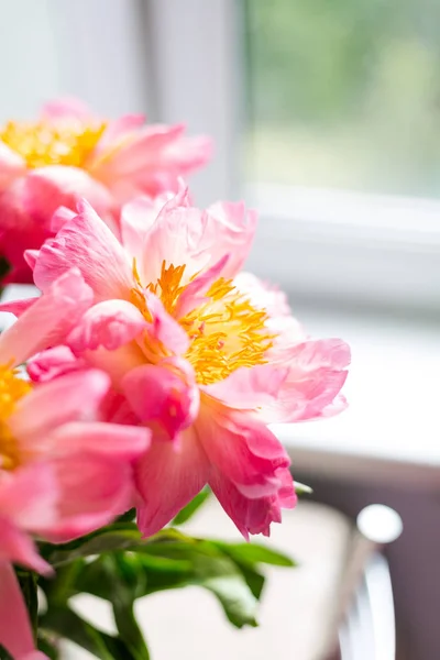 Peônias cor de rosa em um vaso de vidro na janela . — Fotografia de Stock