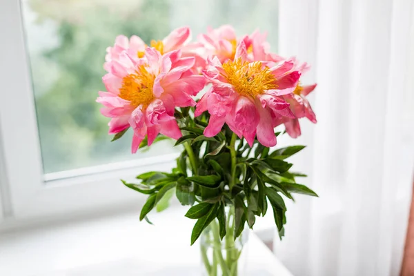 Stock image Pink peonies in a glass vase at the window.