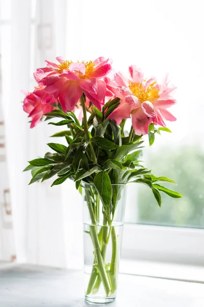 Pivoines roses dans un vase en verre à la fenêtre . — Photo