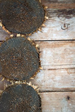 Ahşap arka plan üzerinde bazı kurutulmuş ayçiçeği üstten görünüm.