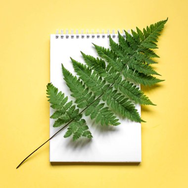 Sarı kağıt üzerinde yeşil fern Şubesi