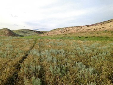 Bozkır, yaz çimen lastik parça.