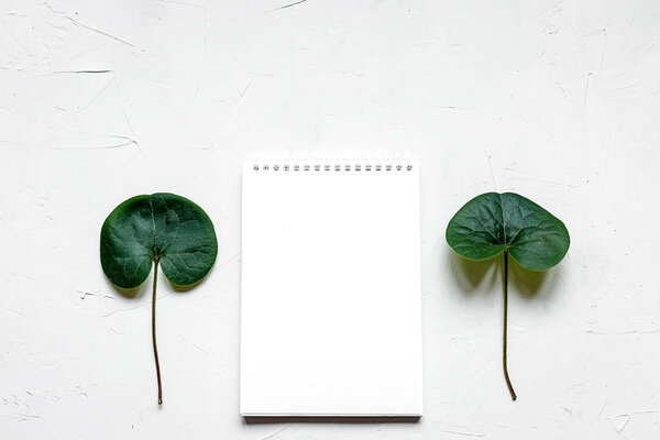 Плоская отделка офисных принадлежностей на белом. Зеленый лист как символ
