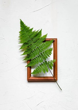Beyaz beton zemin, yeşil fern ahşap çerçeve