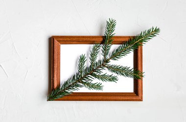 Yeşil yaprak beyaz beton zemin üzerine bir çerçeve içinde