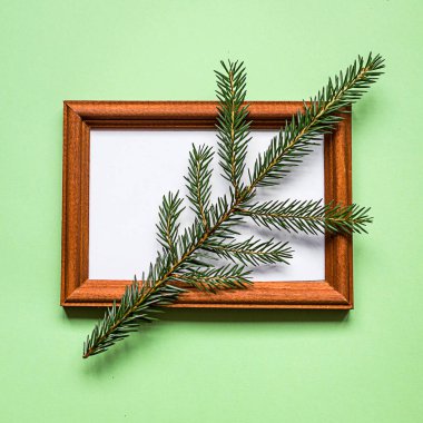 Çerçeve ve bitki yeşil kağıt, üstten görünüm üzerinde. Kopya alanı.