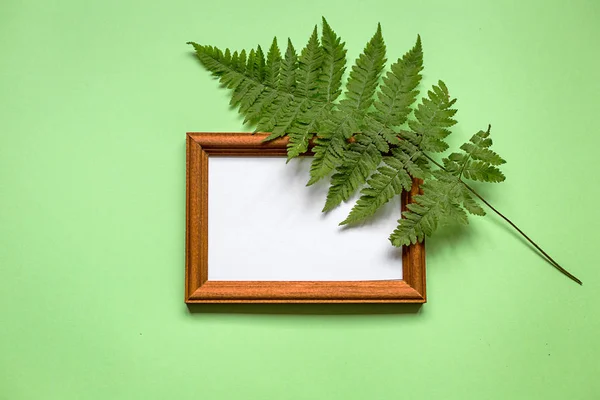 Framework and plant on green paper, top view. Copy space.