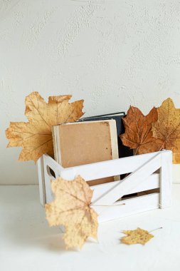 Birkaç eski, vintage kitap beyaz ahşap kutu içinde. Beyaz beton table6 yaz