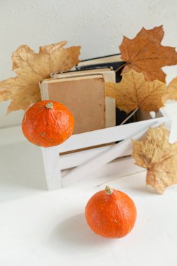 Sonbahar bileşimi kuru sarı akçaağaç yaprakları, Turuncu kabak ve beyaz arka plan üzerinde eski kitaplar