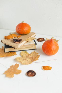 Sonbahar bileşimi kuru sarı akçaağaç yaprakları, Turuncu kabak ve beyaz arka plan üzerinde eski kitaplar