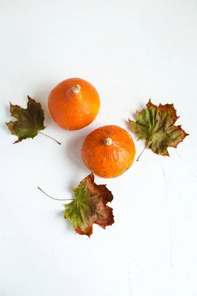 Some Fresh Orange Pumpkins Dry Maple Leaves White Concrete Background — Stock Photo, Image