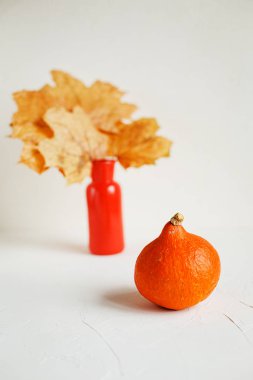 Dekor beyaz masada, Kuru kırmızı mini kabak bırakır