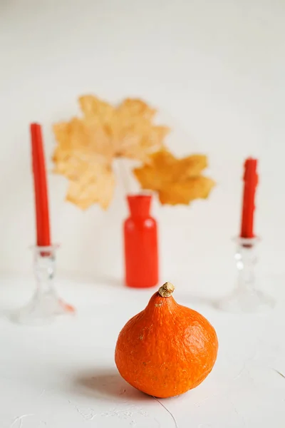 Red mini pumpkin on white table,dry leaves decor — Stock Photo, Image