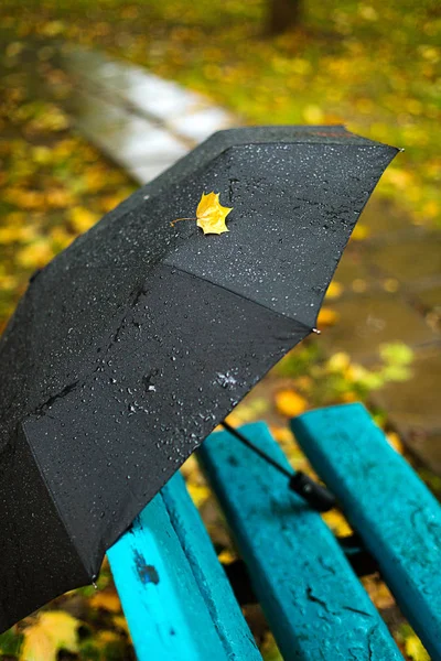 Őszi Szezon Esős Idő Fekete Esernyő Park Vagy Séta Nedves — Stock Fotó