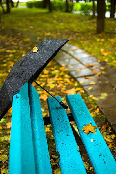 Autumn Season Rainy Weather Black Umbrella Park Wood Walk Wet — Stock Photo, Image