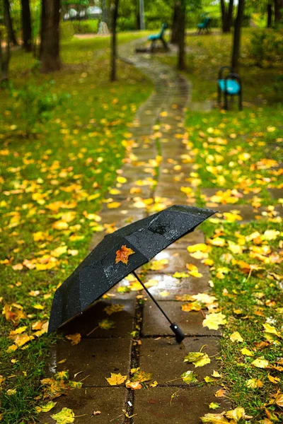 Podzimní Sezóna Deštivé Počasí Černý Deštník Park Nebo Dřeva Chodit — Stock fotografie