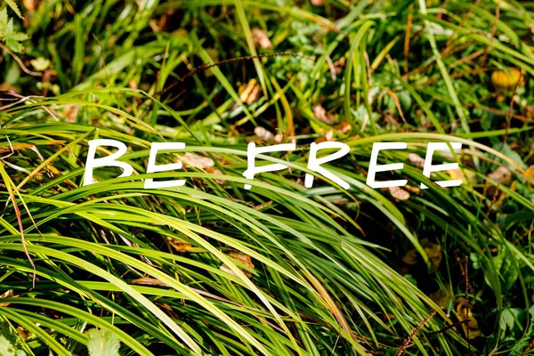 Typography Poster Green Grass Free Text — Stock Photo, Image