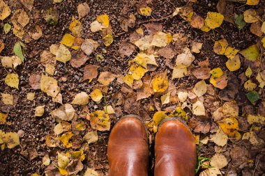 Kahverengi deri çizme bir adam. Sonbahar sezonu. Kuru yaprakları ile parkta yere yürümek. Üstten görünüm