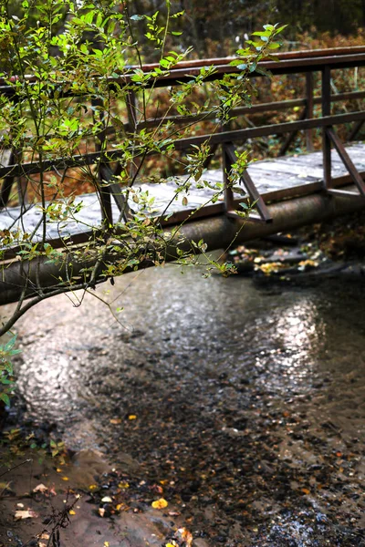 Ponte Madeira Através Pequeno Rio Parque Temporada Outono Símbolo — Fotografia de Stock