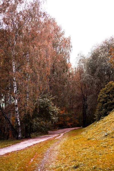 木材や公園内のパス 行く方法 秋の季節 — ストック写真