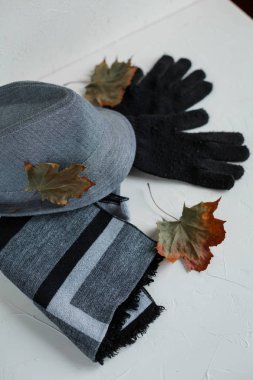 Düz erkek giyim ve aksesuarları yatıyordu. Gri şapka, yün, ipek eşarp, siyah eldiven.