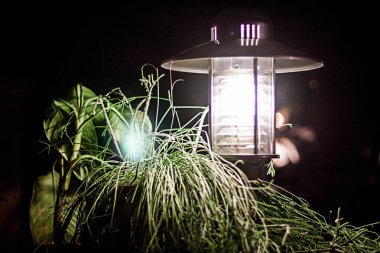 Bir restoranın elektrik yıldırım