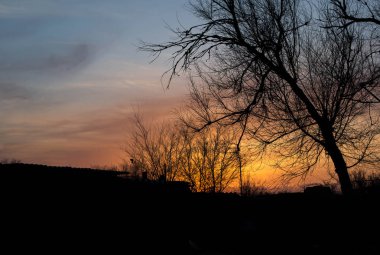 Köy rahat manzara günbatımı, ağaçlar ve karanlık gökyüzünde altın güneş.
