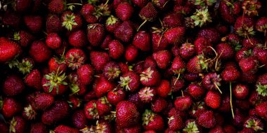 Üstten görünüm taze ve olgun kırmızı strauberries bir kutu içinde. Yaz zamanı, sağlıklı yiyecek çilek.