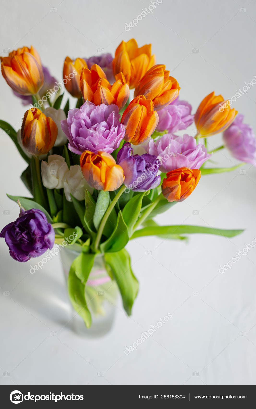 Bouquete Of Colorful Spring Tulips In A Sunny Day Stock Photo C 79268777776 Yandex Ru 256158304
