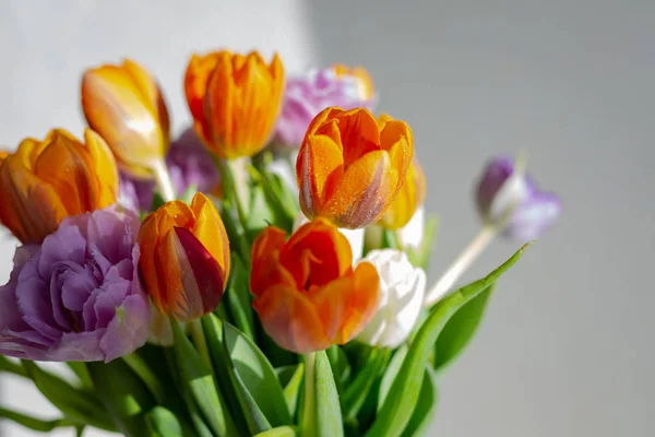 Güneşli bir günde renkli bahar lale bouquete — Stok fotoğraf