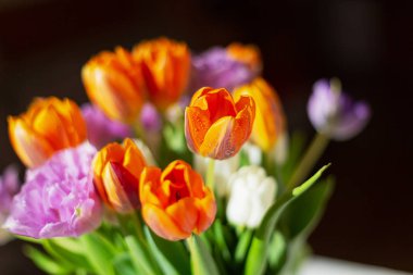 Güneşli bir günde renkli bahar lale bouquete