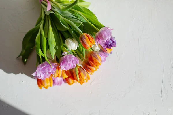 Bouquete de coloridos tulipanes de primavera en un día soleado — Foto de Stock