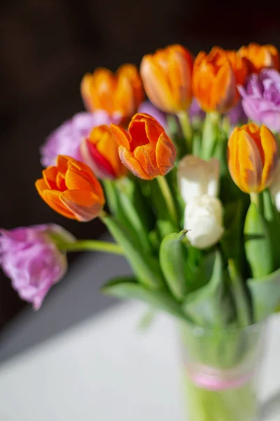 Bouquete de coloridos tulipanes de primavera en un día soleado —  Fotos de Stock
