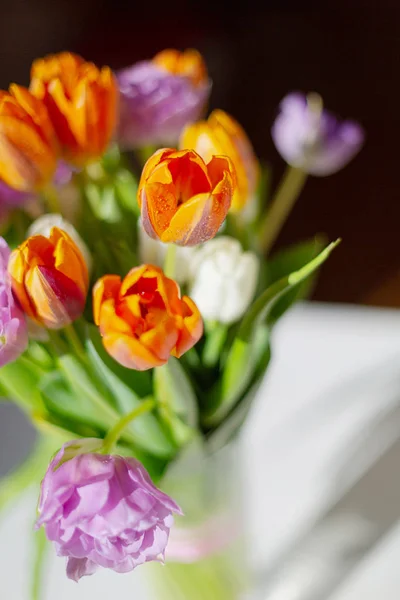 Bouquete de coloridos tulipanes de primavera en un día soleado —  Fotos de Stock