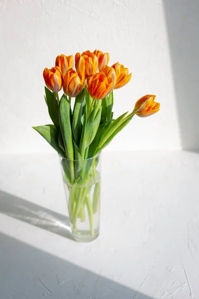 화이트에 무리에서 봄 오렌지 튤립 — 스톡 사진