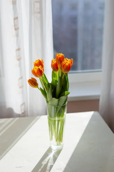 Tulipas laranja primavera em um vaso perto da janela — Fotografia de Stock