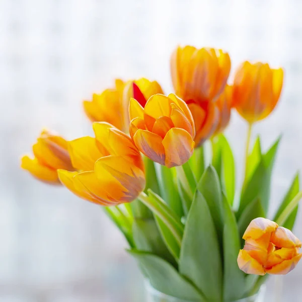 Jarní tulipány v vázu blízko okna — Stock fotografie
