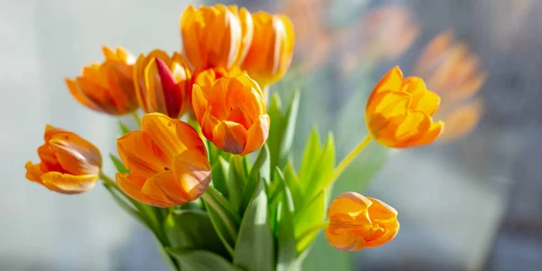 Tulipanes de primavera en un jarrón cerca de la ventana —  Fotos de Stock