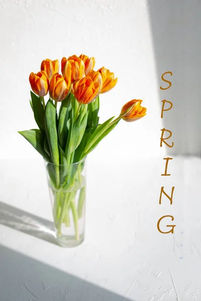 Весной оранжевые тюльпаны в связке на белом — стоковое фото