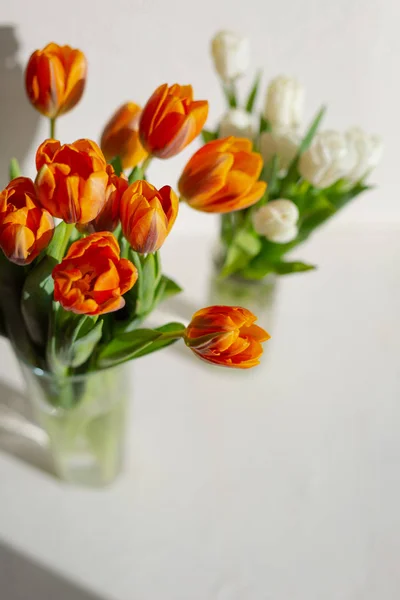 Dos jarrones con tulipanes anaranjados y blancos —  Fotos de Stock