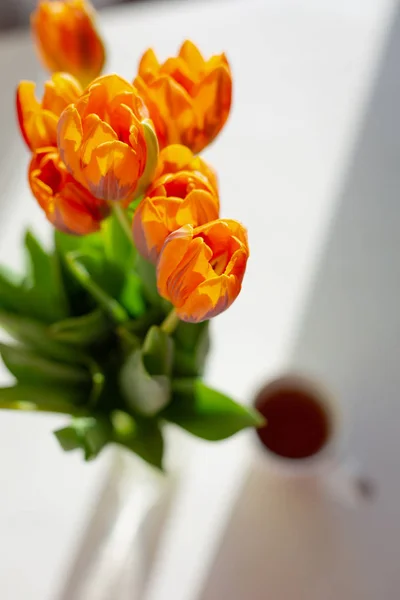 창 근처 꽃병에 봄 오렌지 튤립 — 스톡 사진