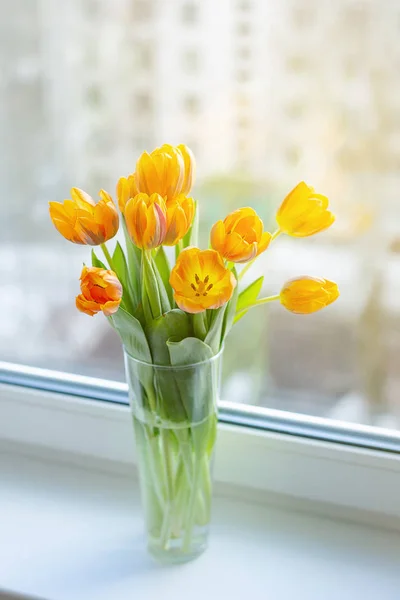 Tulipas de primavera em um vaso perto da janela — Fotografia de Stock