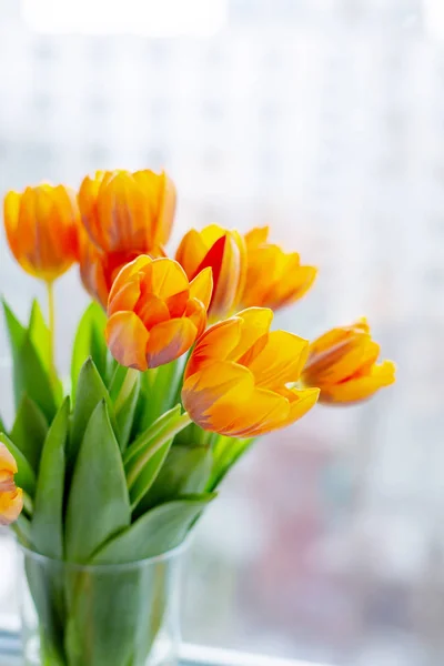 창 근처 꽃병에 봄 튤립 — 스톡 사진