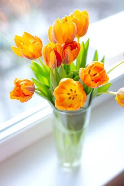 Tulipanes de primavera en un jarrón cerca de la ventana —  Fotos de Stock