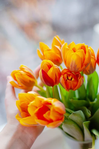 Tulipanes de primavera en un jarrón cerca de la ventana —  Fotos de Stock