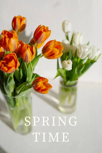 Dvě vázy s pružnými oranžovými a bílými tulipány — Stock fotografie
