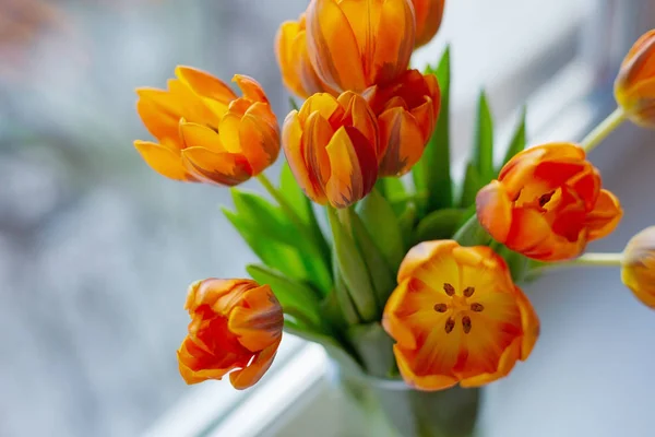 창 근처 꽃병에 봄 튤립 — 스톡 사진