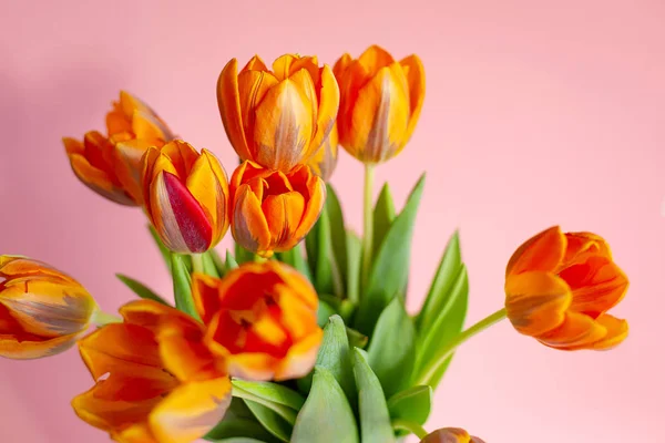 Tulipanes de primavera en un jarrón cerca sobre fondo rosa — Foto de Stock