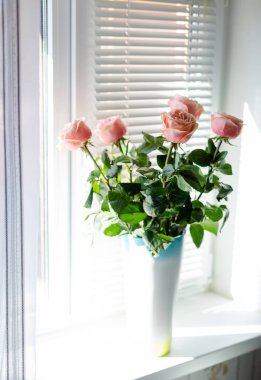 Deklanşörile pencerede bir vazo içinde Ranunkuluses