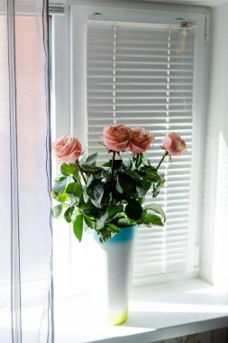 Deklanşörile pencerede bir vazo içinde Ranunkuluses